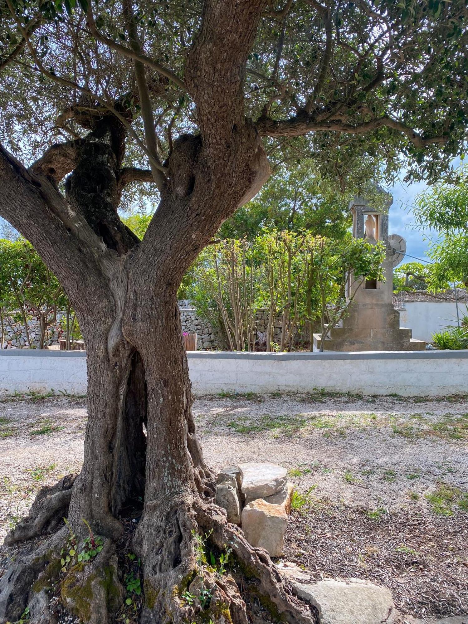 Trullo Pinto Apartment โลโกโรตอนโด ภายนอก รูปภาพ
